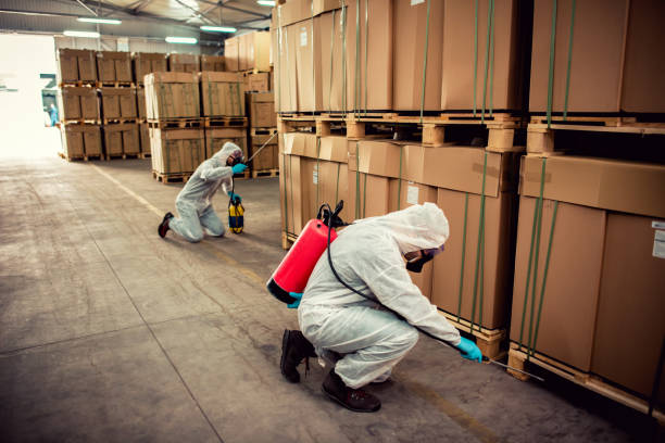 Best Mosquito Control Services  in Barrington, IL