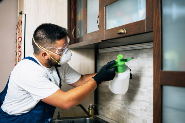 Best Exterminator Services  in Barrington, IL