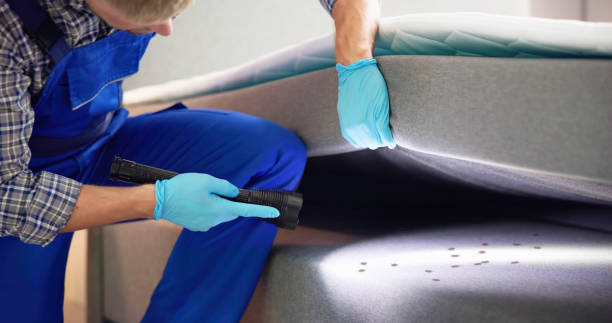 Best Cockroach Control Services  in Barrington, IL