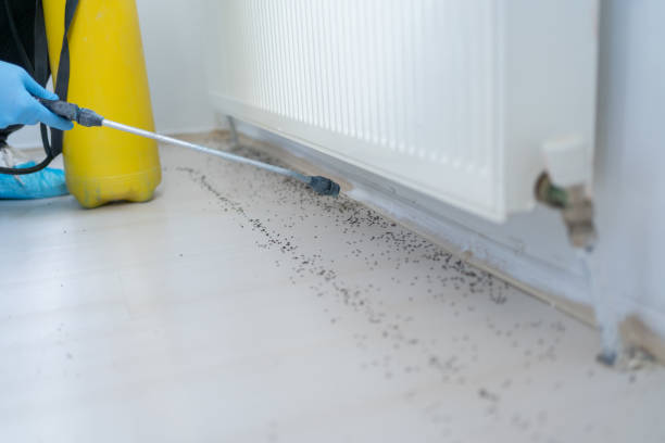 Best Affordable Pest Control Services  in Barrington, IL